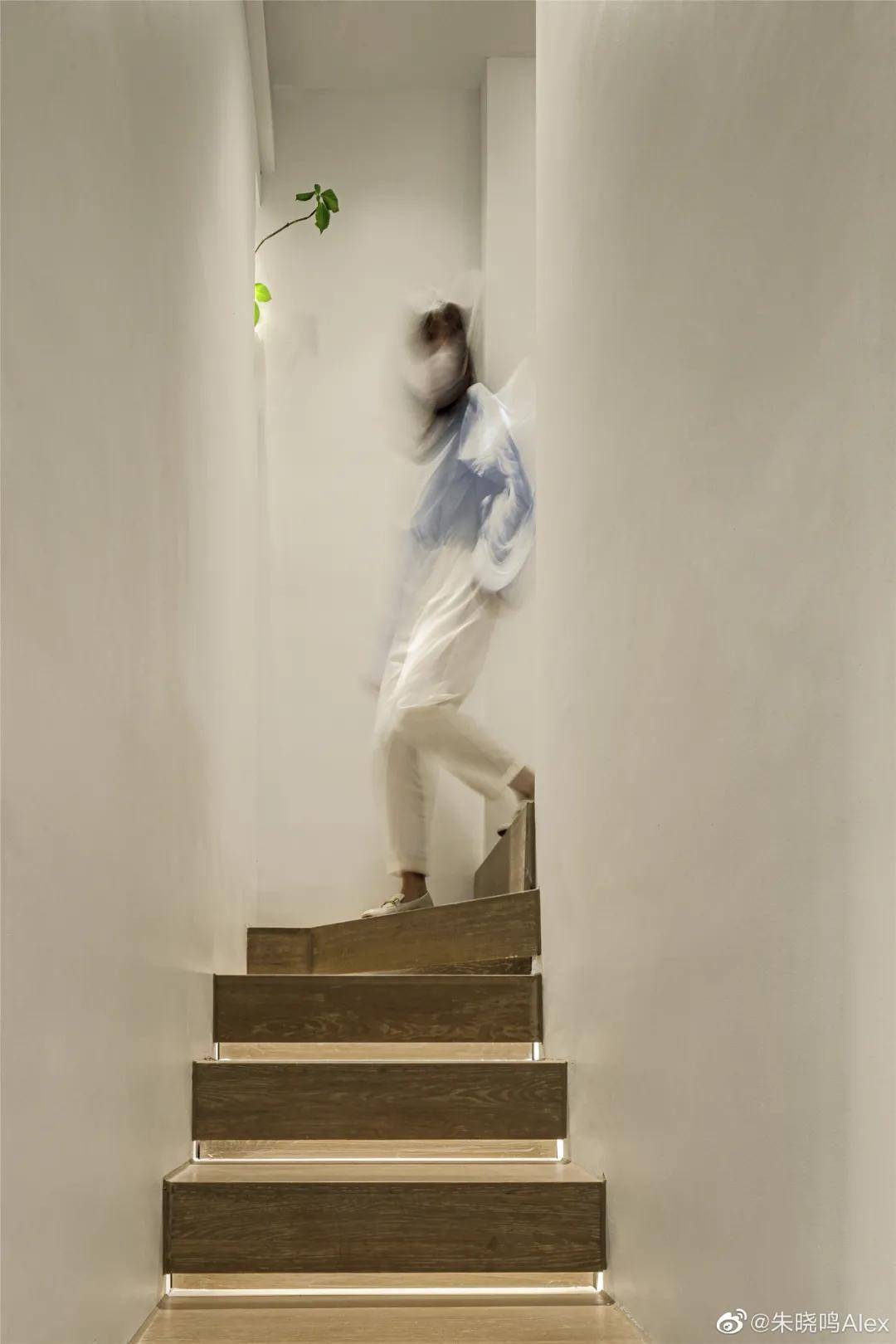 loft|神作！14天，顶层老破小居然爆改成loft庭院！