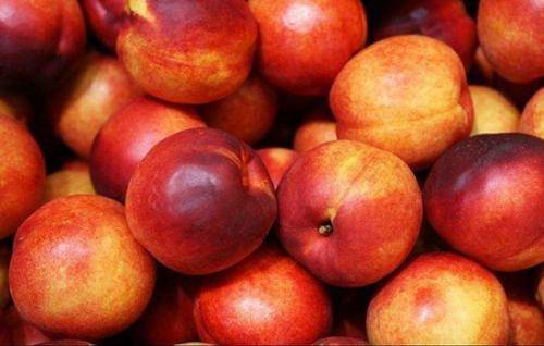 195953cd5dea45379a913e22b991854a.jpeg