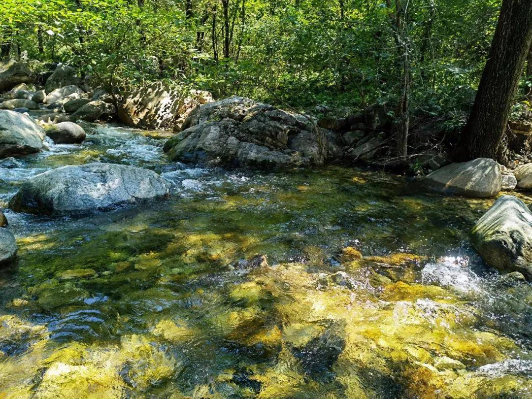 黑龙潭|无门票|济南出发，泰山免费景区赏清潭飞瀑、森呼吸，能玩水可登山