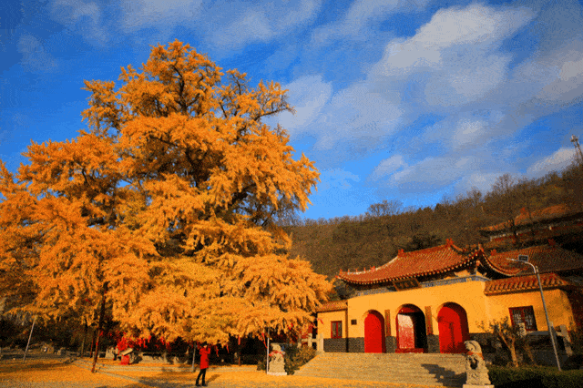 人少景美好出游,潍坊安丘第一波秋日美景,美得如此动人心魄
