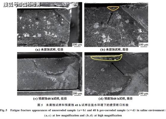 什么是金属疲劳和疲劳强度 4cd28f954f3d447ca03abae684411997.jpeg