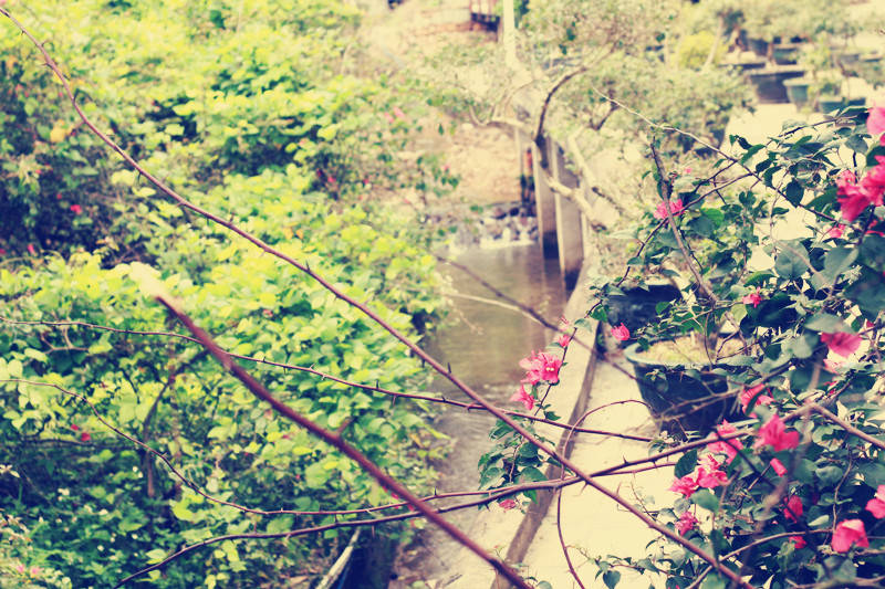 社保断缴补居民社保 22高中数学必背 50个公式 50种快速做题方法 恩杰资讯网