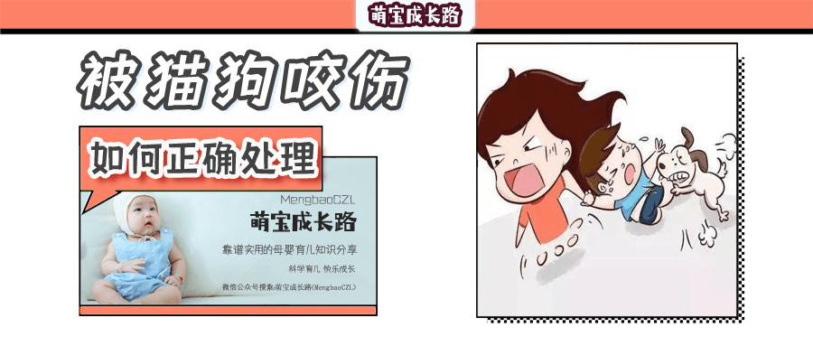 怎么可以不打狂犬疫苗 e648828cbc834978b69928bd83104042.png