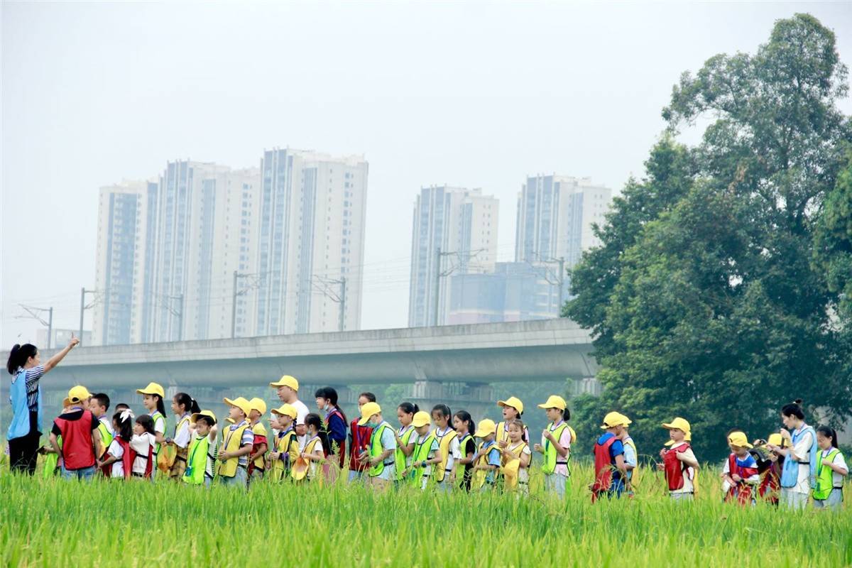 温江的小朋友们集合啦！来刘家濠社区，赴一场稻米研学之旅