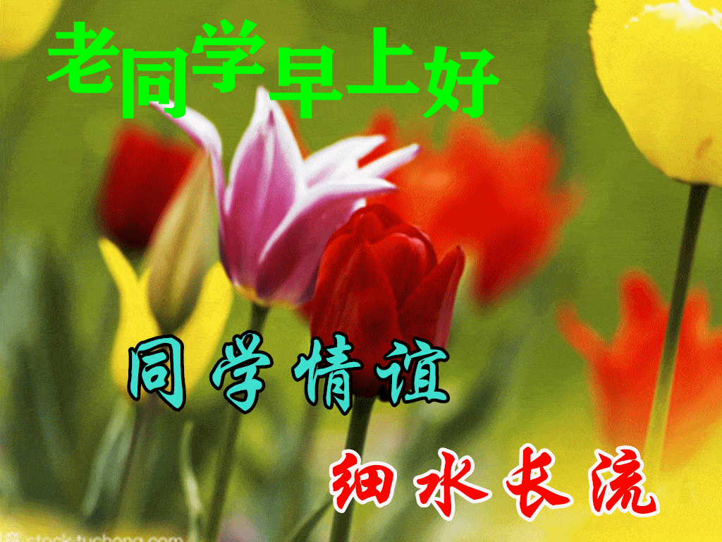 8张秋日最新特漂亮早上好鲜花动画图片带祝福语 2021最美秋日早安问候