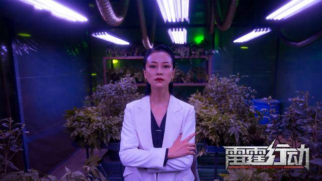 倪虹洁雷霆行动首播优秀3大看点太有趣让我忘记了时间