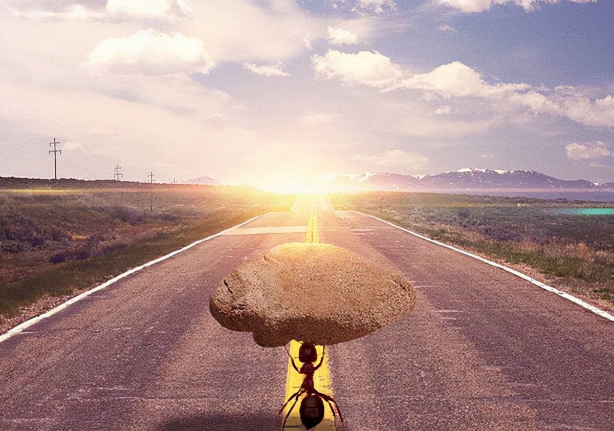 治愈|人间清醒傅首尔：学会治愈不开心，自己才会更强大