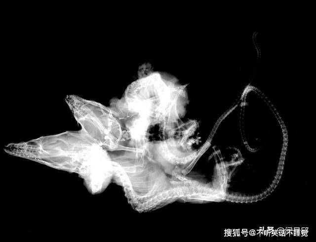 fa705f5aaea24374bb64ef8dc2a73c30.jpeg