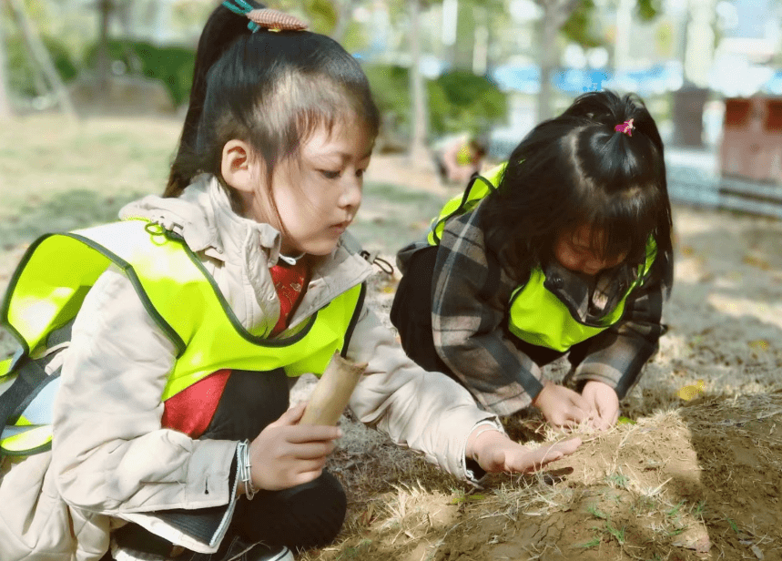 小学老师|幼儿园选私立还是公立？小学老师就能告诉你答案，希望你没选错