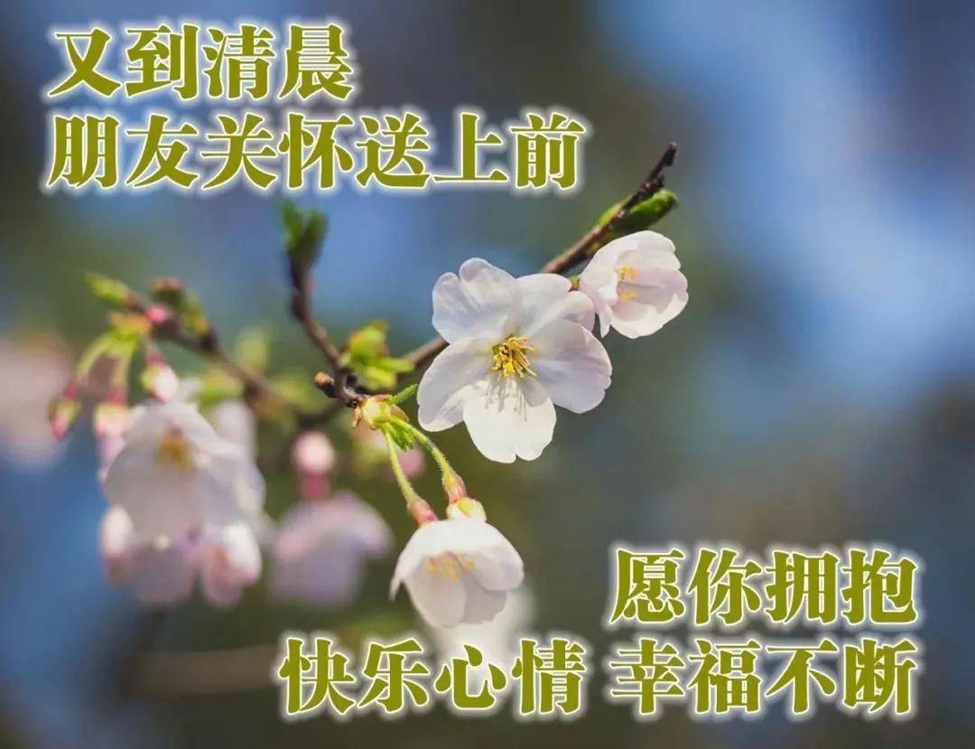 原創8張清新漂亮秋天清晨早安圖片帶字帶祝福語好看的秋日風景早上好