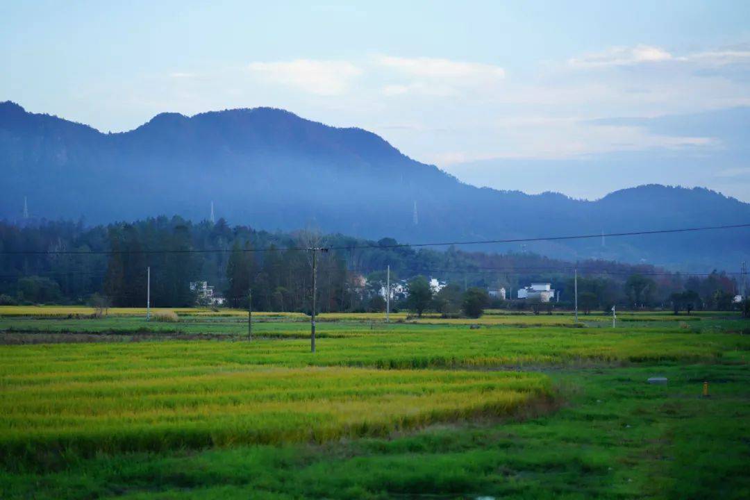 烟雨任|一座搬来的古村，20余栋几近坍塌的徽派民居，拼成了黟县画里乡村