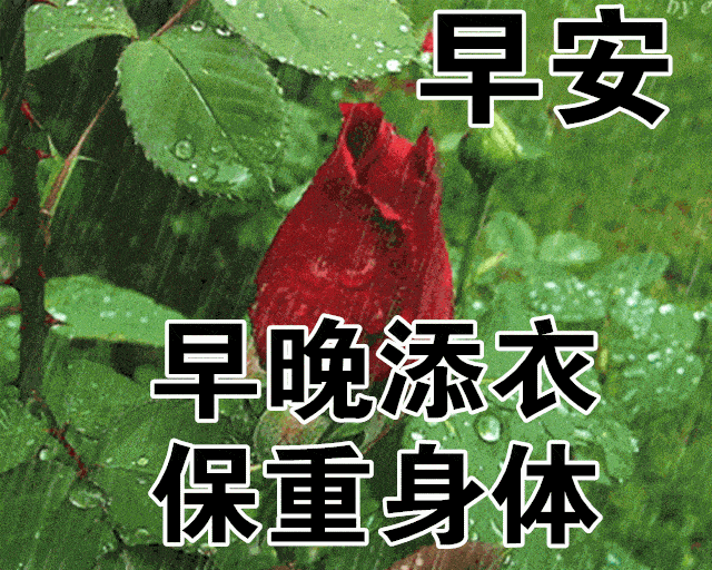 原创8张聊天不用打字的早上好动画表情包 2021创意好看的秋日早安问候