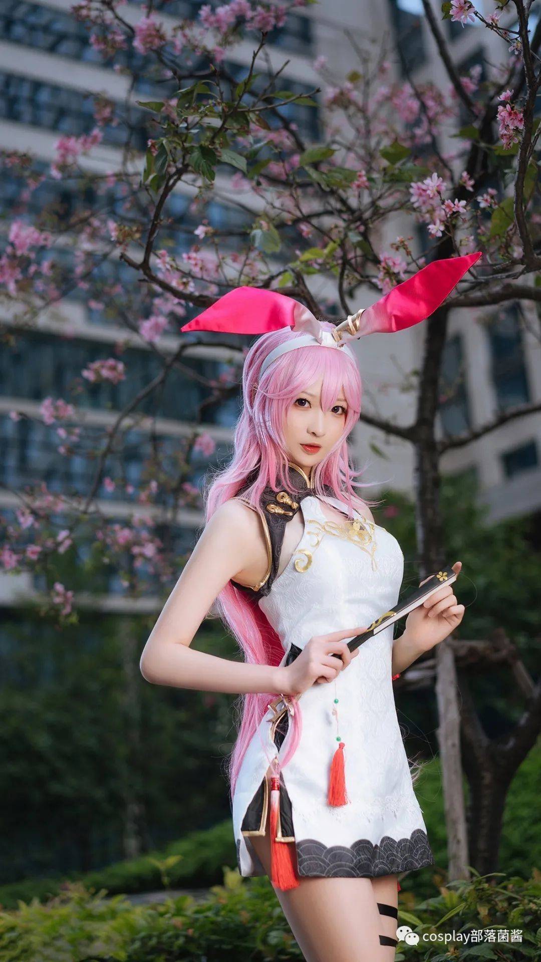 cos崩坏学园旗袍八重樱cos正片南宫