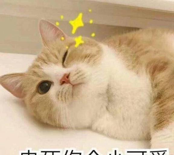 5bf783e3906f428ab291c4a5b01a5ec5.jpeg