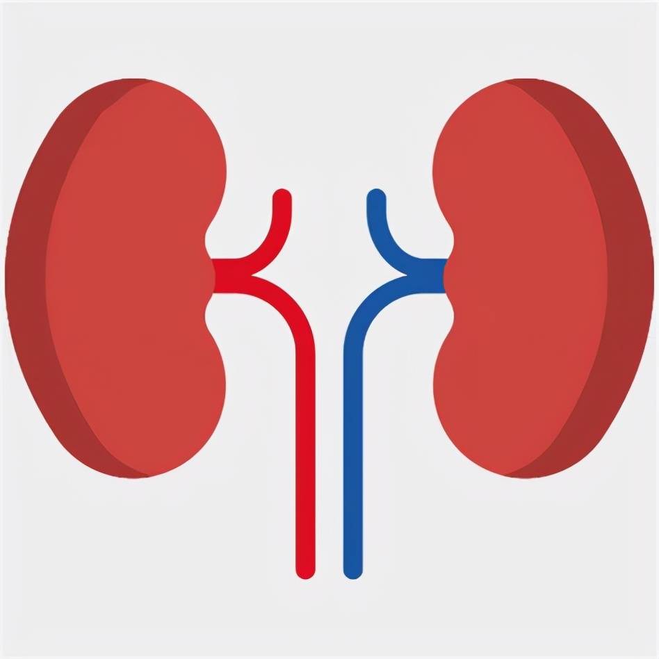 心脑血管|规律降压,5年后却肾衰竭?医生:3个错误,很多人都在犯