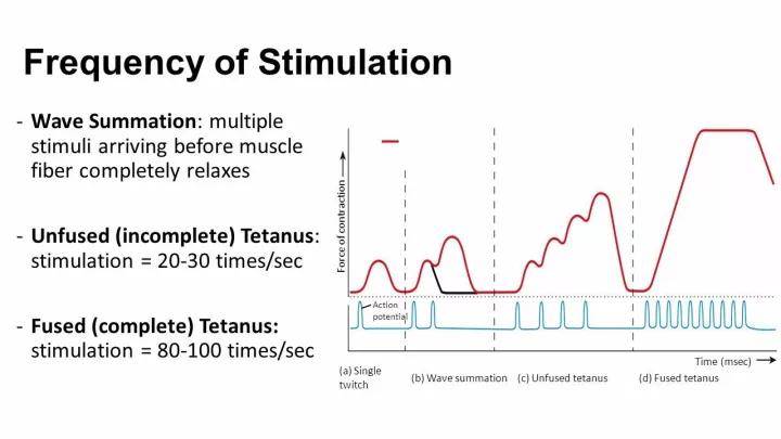 降低|为什么你需要”长时间低强度”有氧训练? (中)