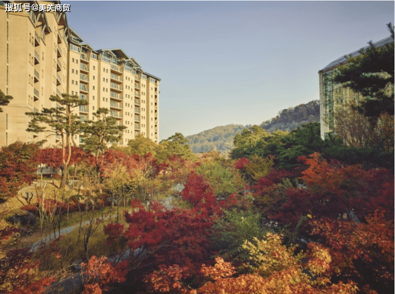 京畿道光州市的枫叶庆典即将开启