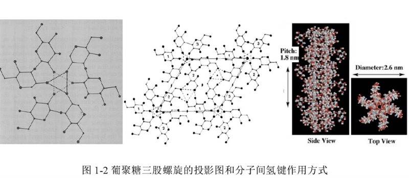 风口|再生医美新风口，心辰品牌如何引领再生材料新方向