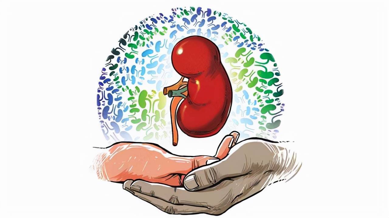 心脑血管|规律降压，5年后却肾衰竭？医生：3个错误，很多人都在犯