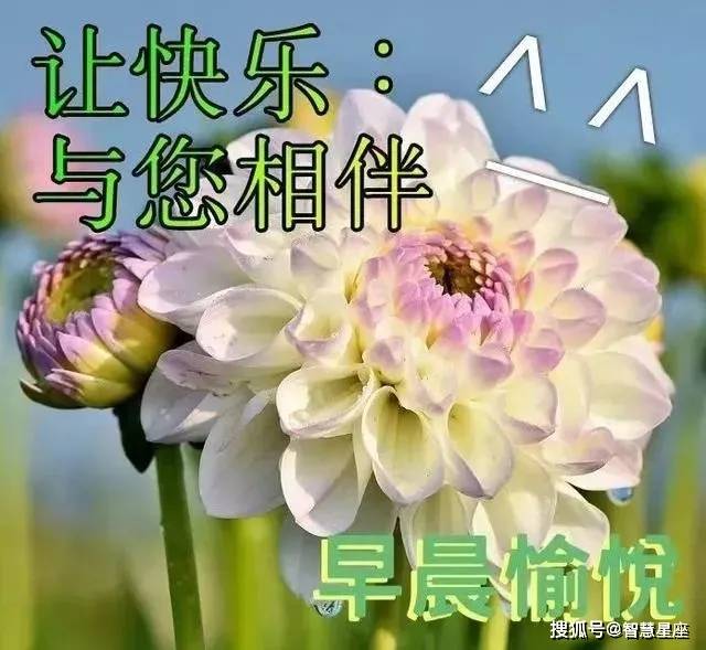 心情愉悦的文章句子 044acd89bbfb427c9916052493efea8d.jpeg