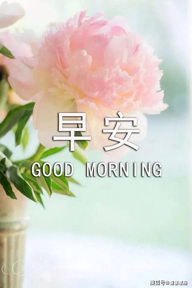 原创2021牛年很暖心早安问候祝福语早上好动图表情早上好祝福语早安