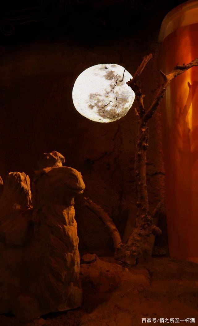 生活|家在宁夏,我骄傲!