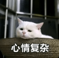 3f64993cd80b4b19baa0c1c43520d056.png