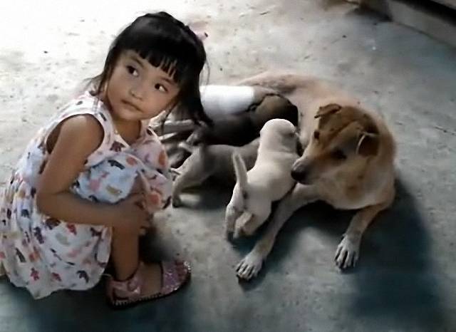 生怕狗媽媽護崽咬我女兒，確認過這是小主人以後，土狗：盡管摸 萌趣萌寵 第2张