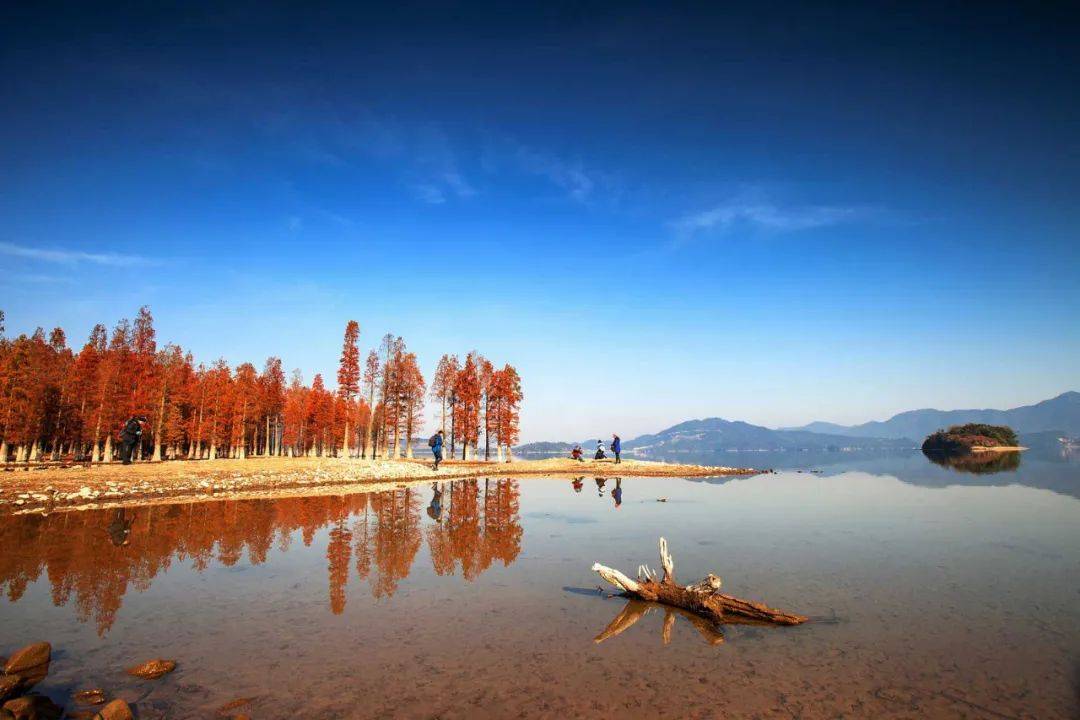 图源丨摄影部落 大山 秋天的四明湖,景色秀丽,碧波荡漾,湖水湖山交相