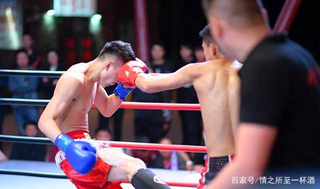 生活|家在宁夏,我骄傲!