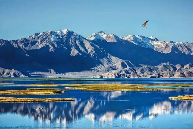 西藏最高海拔有多高 02cf53f4ac484441831b8da94da57004.jpeg