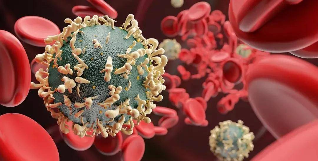 血管|三高?过敏？肤色暗沉？是时候给血液“洗个澡”啦