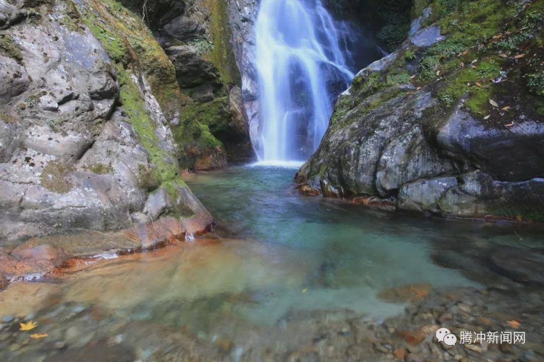 角雉|走进林家铺，探寻生物多样性基因库