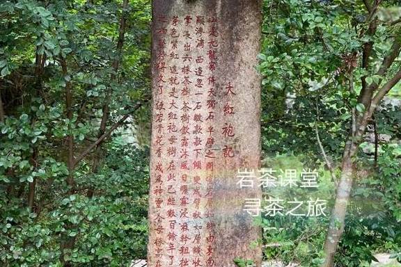 介绍武夷山大红袍母树 a9c052fe436b49c0adf7d6fa02683b7b.jpeg