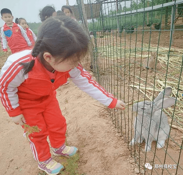 轮胎|郑州经开区热门幼儿园之：清华幼儿园