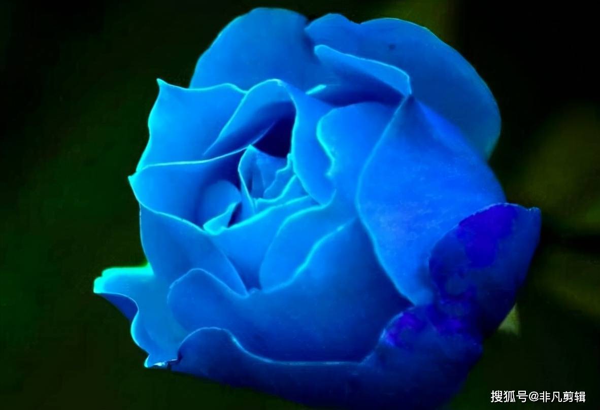 569ec6fe73ca49e5b76284a915af7327.jpeg
