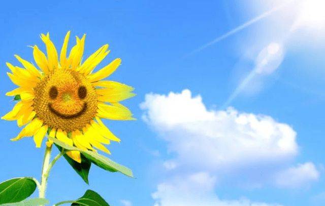 养护|47岁男子血糖从16.9到5.3，提醒：多吃2种食物，有助养护胰岛