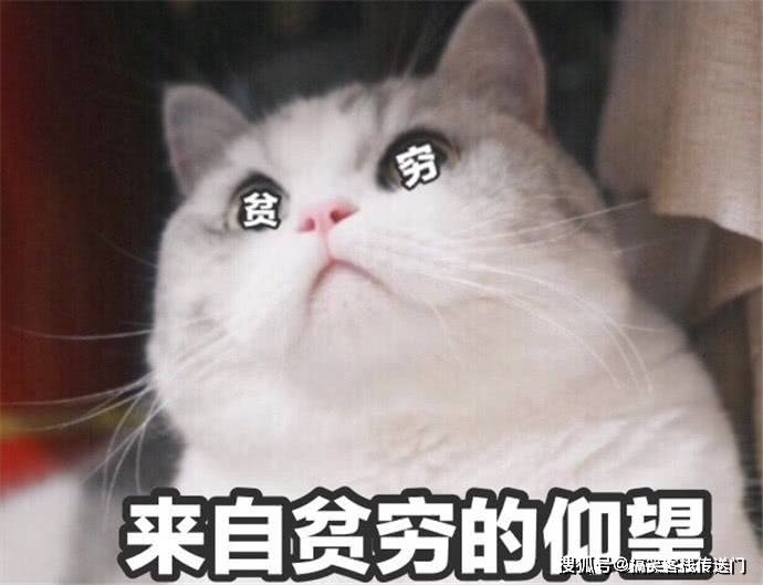 14455e5248294e8c9d499be2fb8bc4a3.jpeg
