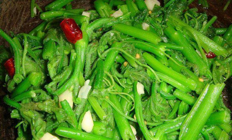 清肠通便的食物菜谱 739e121e9b0d450ba4a7cb2a17427095.jpeg