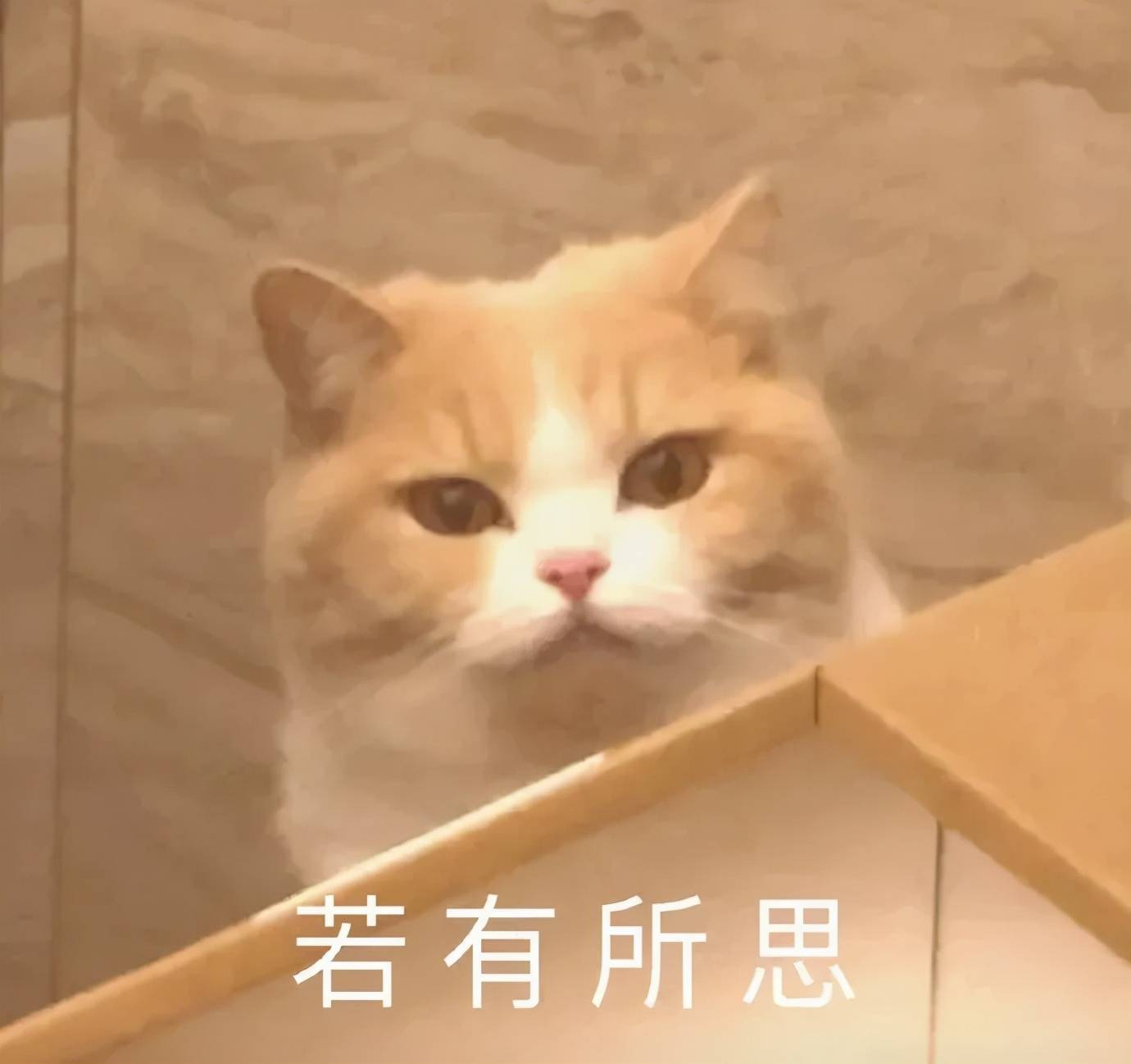 网友|倪妮新封面撞脸辛芷蕾？网友：这图有点辣眼睛...