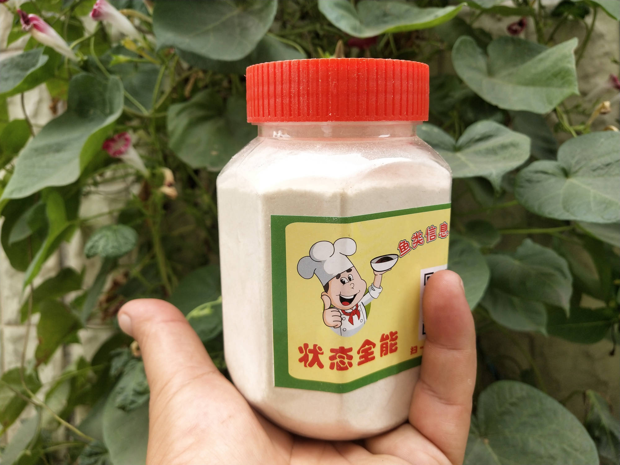 b208579a60d44f79b9ed3d781fa93d5a.jpeg