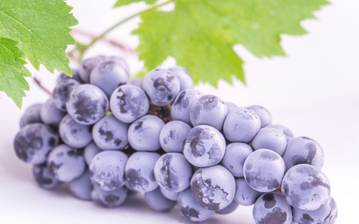 人参|天然“溶糖剂”被发现，并非洋葱，而是“它”！平时敞开吃，血糖一稳到底