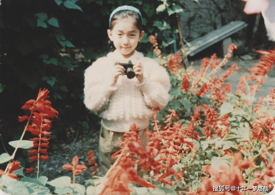 江疏影背后的人 f0a4841782ed462e98c195de59707e63.png