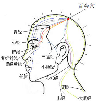 穴位解剖穴位速取:正坐或仰卧位,在头部,两耳尖连线中点与眉间的中心