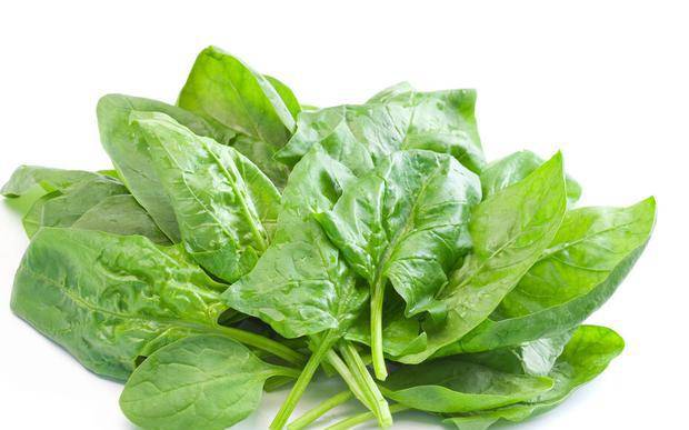 啥时候种菠菜最合适 370d8a9bf6964f9b8a14683bdd17a0da.jpeg