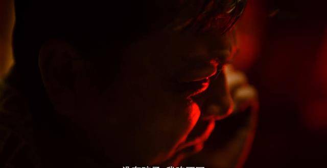 段奕宏|被吹上天的《双探》全是漏洞，还好有这两个优势撑着全剧！