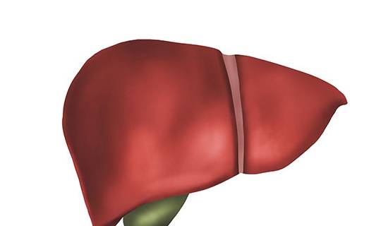 能够帮助|肝病拒绝“拖延症”，3个反常表现频繁发生，尽早给肝脏做检查