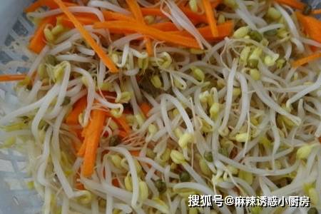 简谱豆芽_小豆芽芽儿歌简谱