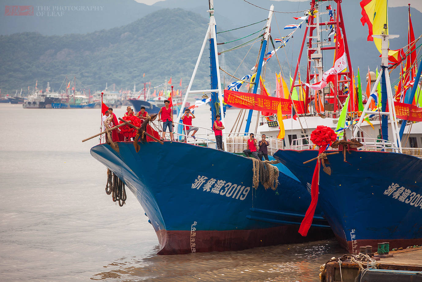 石浦镇|浙江开渔了！四个半月的禁渔后，迎来海鲜的大丰收，吃货们有福了