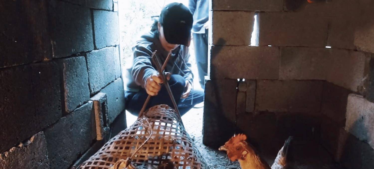 生活|那英在《向往》夸张艺兴可爱，在《萌探》说杨紫“不得好死”？